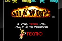 silk-worm01