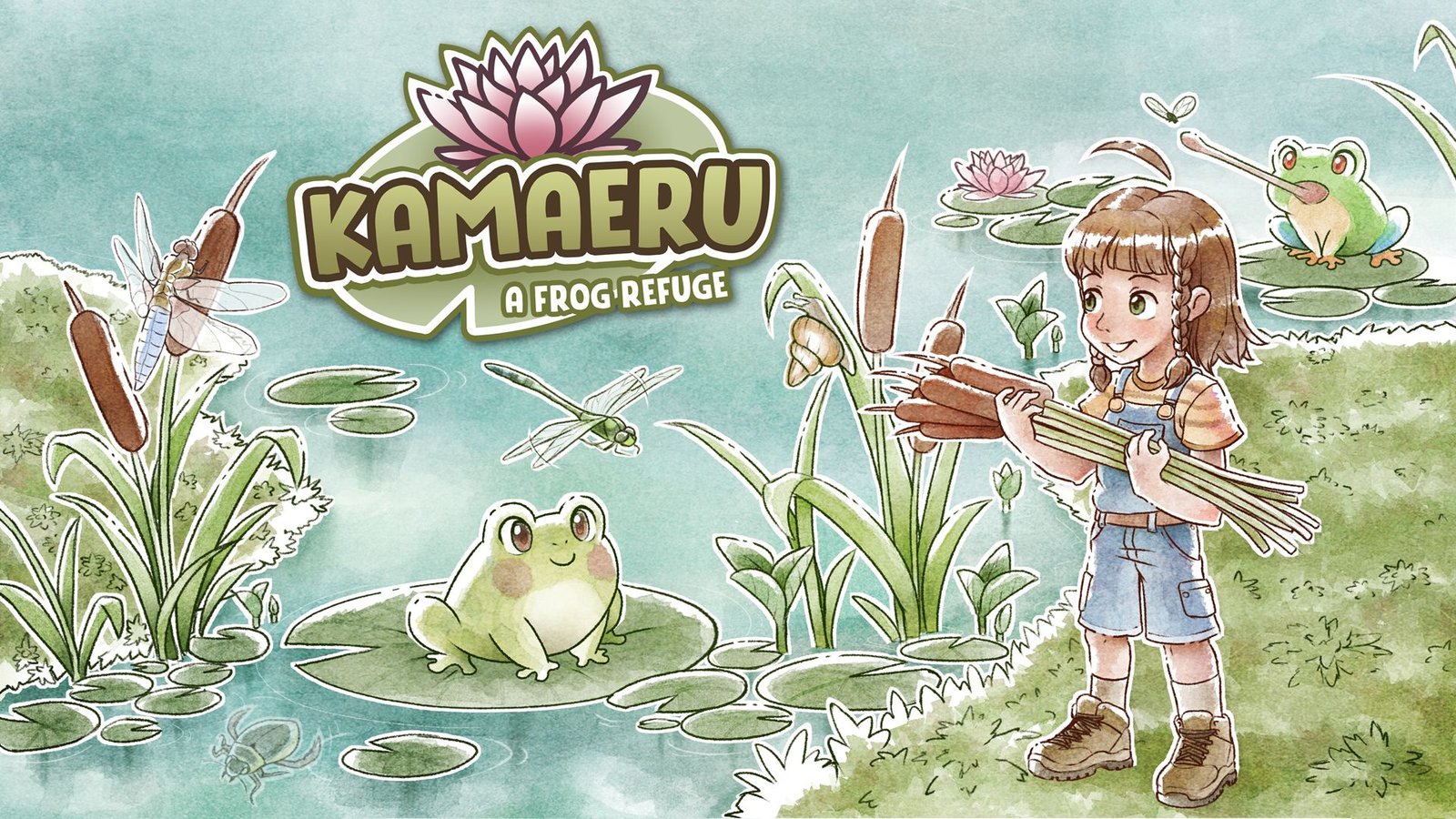 Kamaeru: A Frog Refuge : le jeu de simulation de sanctuaire de grenouilles est disponible sur Nintendo Switch