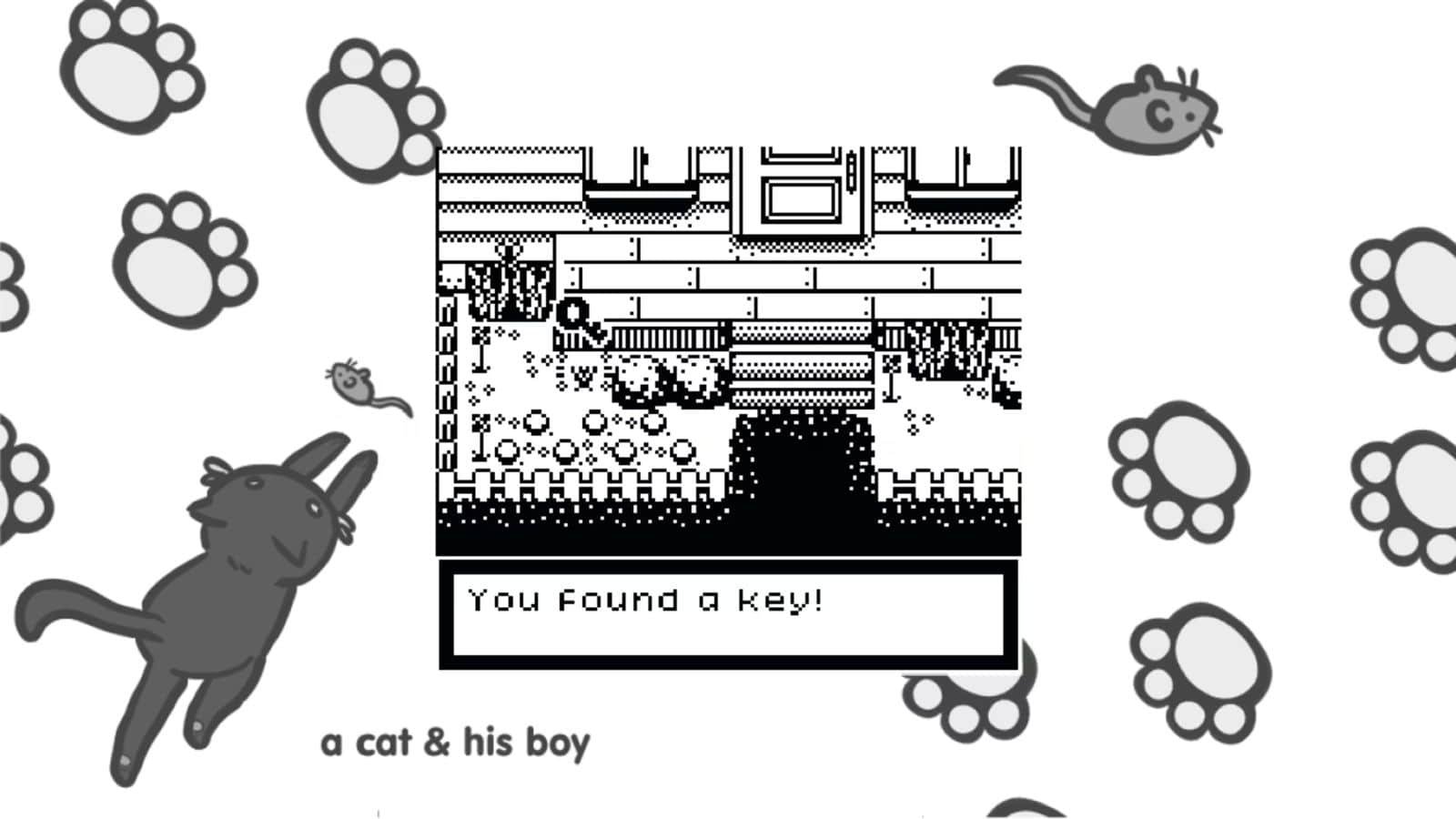 A Cat & His Boy Nintendo Switch