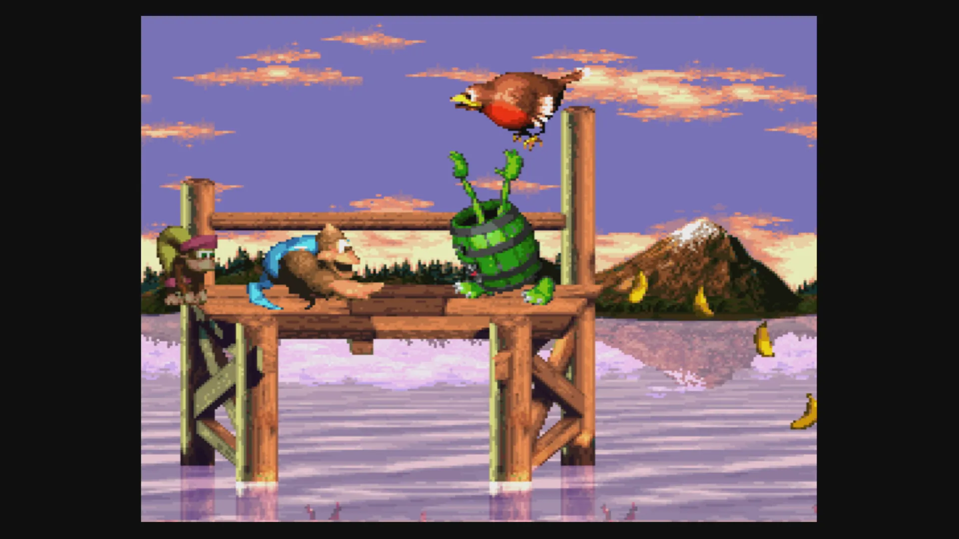 Donkey Kong Country 3