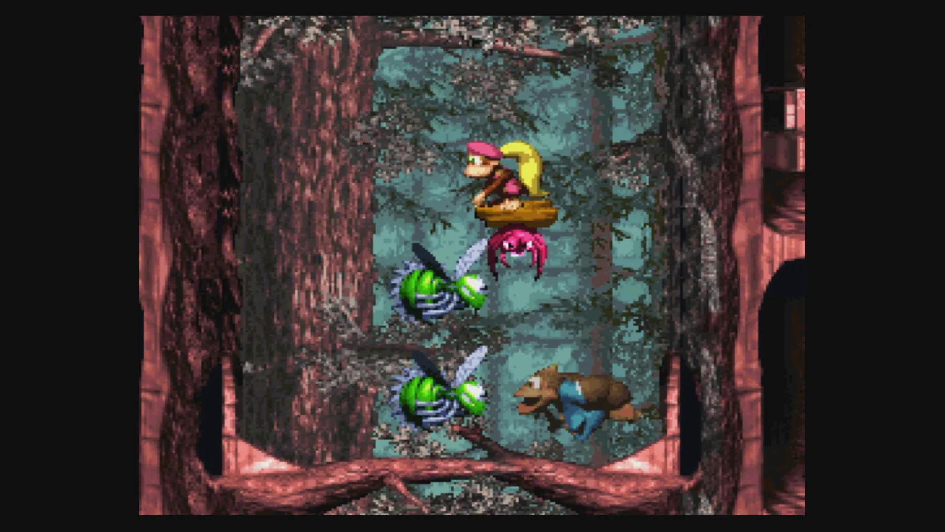 Donkey Kong Country 3